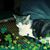 Nancy Paulsen's profile image