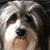 Ken Kader's profile image