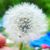 April Branham Conover's profile image