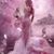 Amanda McCarthy's profile image