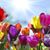 Doreen D'Agostino's profile image