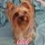 Denise Lindsey's profile image