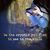 Cosette Lemes's profile image