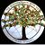 Roxy Becker's profile image