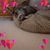 Karen Swenson's profile image