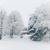 Laura Hipkiss's profile image