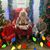 Courtney Liwski's profile image