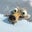 Patricio Cabezas's profile image