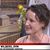Nellie Wilbers Dvm's profile image