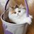 Lucy Robinson's profile image