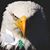 Pedro Rodriguez's profile image