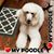 Deb Peterson Durette's profile image
