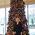 Amy E.I. MacKinnon's profile image
