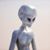 Patrick Murphy's profile image