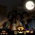 Paula Mitchell's profile image