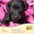 Linda Clayton's profile image