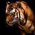 Mandy Jean's profile image