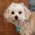 LarryandRuth Hartwig's profile image