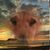 Linda Ralph Arner's profile image