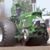 Tracy Grubb's profile image
