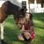 Morgan Nicole Hamilton's profile image