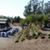 Edgemont Farms Equestrian Center's profile image