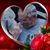 Marti Lawton's profile image