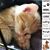 Megan Mailloux's profile image