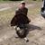 Brad Luttrull's profile image