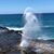 Pamela Small Culley's profile image