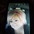 Julie Page Wingfield's profile image