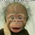 Heidi Seifried's profile image