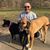 Perry Reisert's profile image