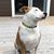 Connie Smith Clifford's profile image