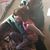 Tanya Rasche's profile image