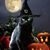 Terri Morin-Marcotte's profile image