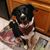 Debra Michalowski's profile image