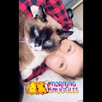 Jess Stone's profile image