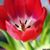 Kathy Leigh Wojcik's profile image