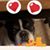 Liz Gradek's profile image
