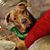 Jill Wolber's profile image