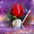 Stewy Kopp's profile image