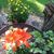 Kathy Canan Wood's profile image