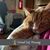 Angie Day's profile image