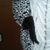 Tammie Capet's profile image