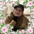 Cheryl Michaud Gorman's profile image