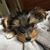 Suzanne Washko Cooper's profile image