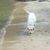 Deborah Smithers's profile image