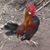 James Westover's profile image