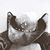 Melanie Redfern Cataldo's profile image